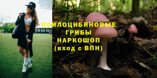 трава Балахна