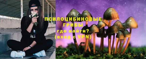 трава Балахна