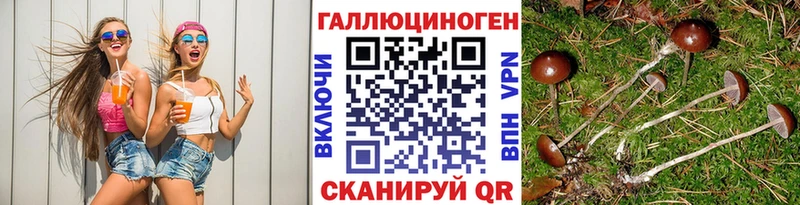 как найти   Верхнеуральск  Псилоцибиновые грибы Psilocybine cubensis 